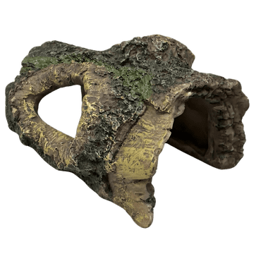 shumee Deblo drevesa S