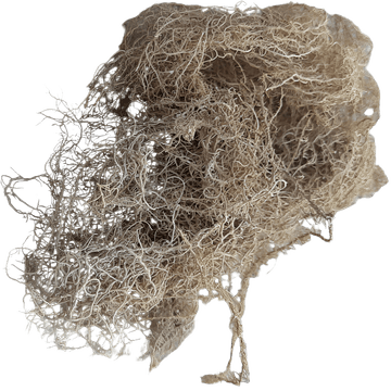 shumee Sivi lišaj 25 g