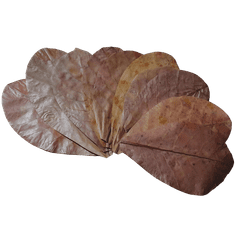 shumee Posušeni mandljevi listi 10 kosov.