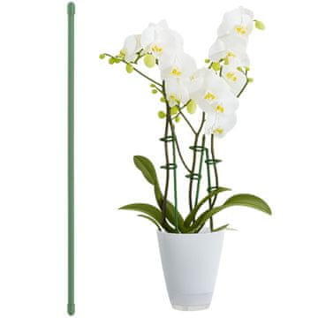 shumee Nosilec za orhideje, nosilec za drog 60 cm