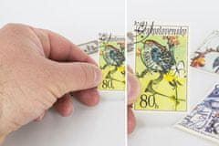 shumee Povečevalna očala Zoom - udobna in lahka polikarbonatna lupa