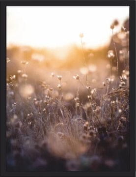 shumee Plakati Slike Stenski plakati za steno v dnevni sobi spalnica Narava Trave