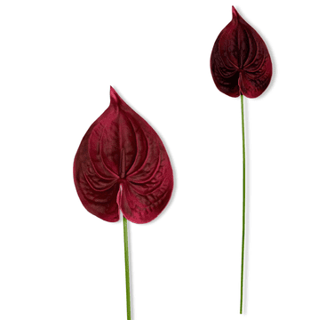 shumee Veja - Bordo penasti anturij 57 cm