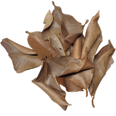 shumee Posušeni listi mangostina 1l