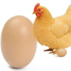 shumee Osnovno jajce jajce za piščanca kokošja jajca velika umetna jajca vzreja piščancev
