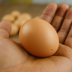 shumee Osnovno jajce jajce za piščanca kokošja jajca velika umetna jajca vzreja piščancev