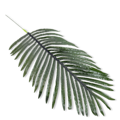 shumee Veliki listi - Datljeva palma 81 cm