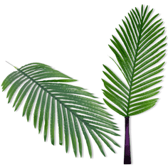 shumee Veliki listi - Datljeva palma 81 cm