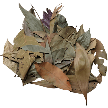 shumee Posušeni listi iz džungle 1l