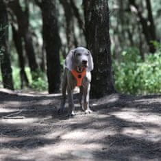 shumee BLACK Guard oprsnica za pse EASY WALK TRUELOVE M