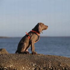 shumee BLACK Guard oprsnica za pse EASY WALK TRUELOVE M