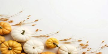shumee Magnetni pokrov mat radiatorji Autumn Pumpkins Cover 60x100