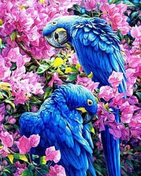 shumee Diamantno vezenje modri kakadu 55x75 cm K