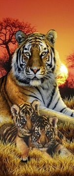 shumee Diamantno vezenje Tiger Family 3 50x110 cm