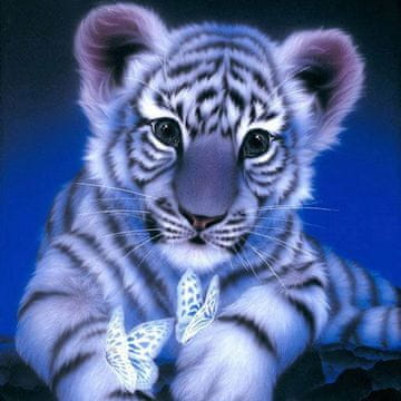shumee Diamantno vezenje Sweet Tiger 45x45 cm