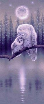 shumee Diamantno vezenje mistične sove 50x110 cm