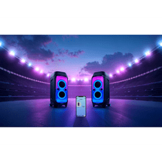 Blaupunkt Karaoke zvočnik PB100X