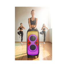 Blaupunkt Karaoke zvočnik PB100X