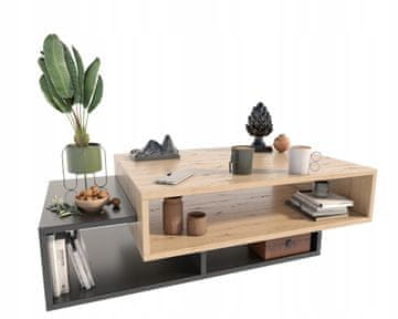 shumee Klubska mizica Sara, umetniški hrast/črna, za dnevno sobo, klubska mizica, dnevna soba, pisarna, MK