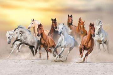 shumee Magnetna podloga za pokrov radiatorja Running Horses 60x100cm