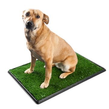 shumee Pasje stranišče - veliko