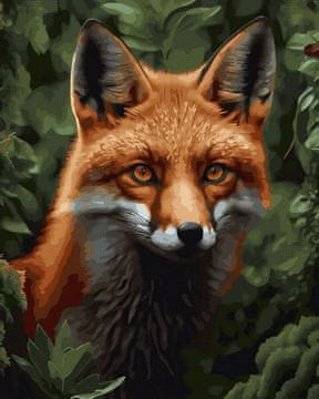 shumee Komplet za slikanje po številkah Red Fox 40x50