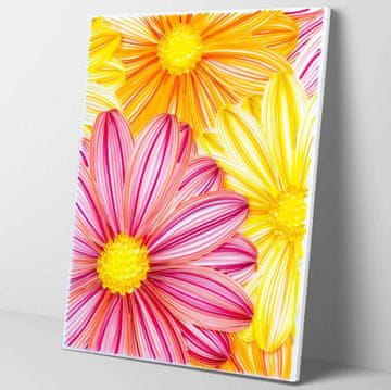 shumee Quilling Set Stripes Beautiful Flowers 40x50 cm