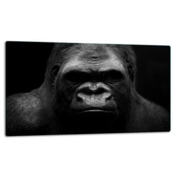 shumee STEKLENI KROŽNIK ZA REZANJE 52x30 GORILLA