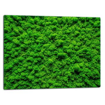 shumee STEKLENA DESKA ZA REZANJE 52x40 ZELENA