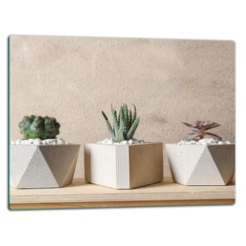 shumee Steklena ploa rezalna ploa 52x40 kaktus