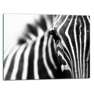 shumee STEKLENA DESKA ZA REZANJE 52x40 ZEBRA