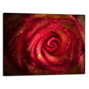 shumee STEKLENA DESKA ZA REZANJE 52x40 ROSE