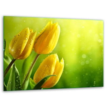 shumee STEKLENA DESKA ZA REZANJE 40x30 TULIPANI
