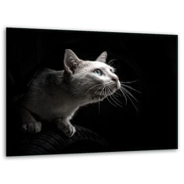 shumee STOJALO ZA STEKLENOVO DESKO ZA REZANJE 40x30 MAČKA