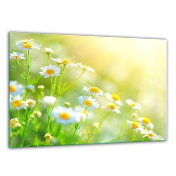 shumee Steklena deska za sekanje kaljenih 30x22 cvetov