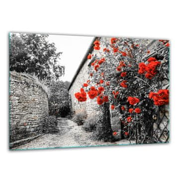 shumee Steklena deska za sekanje kaljenja 30x22 mesto