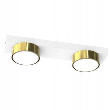 moonlight STROPNA SVETILKA ZA DNEVNO SOBO LED LOFT GX53 BELO ZLATO POLSKA