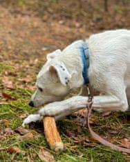 4DOGS 4DOGS žvečljive tablete s cimetovim drevesom, velikost L