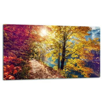 shumee STEKLENA REZALNA DESKA 52x30 POKRAJINA