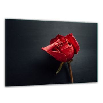 shumee Steklena sekalna ploa kaljena 30x22 vrtnica