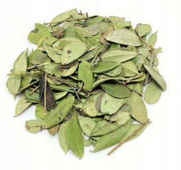 shumee LISTI BRUSNICE 500 G NARAVNI