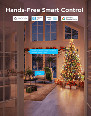 Govee božična svetlobna veriga - 20M