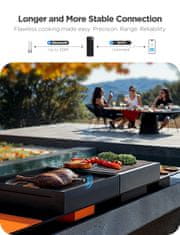 Govee pametni brezžični termometer - 2 sondi