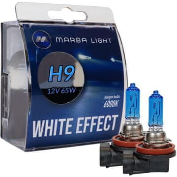 shumee ŽARNICE MARBA LIGHT WHITE EFFECT H9 65W 12V