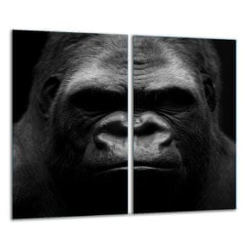 shumee STEKLENA DESKA ZA REZANJE 2x 30x52 GORILLA