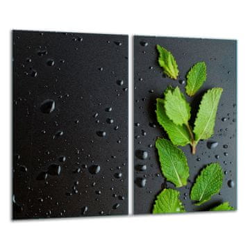 shumee Steklena sekalna ploa 2x 30x52 list