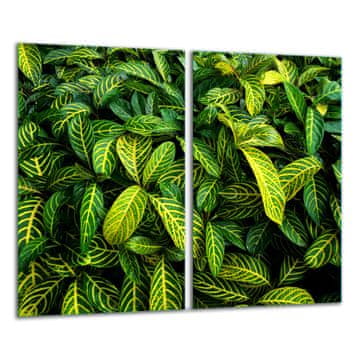 shumee Steklena deska za sekanje 2x 30x52 zelena