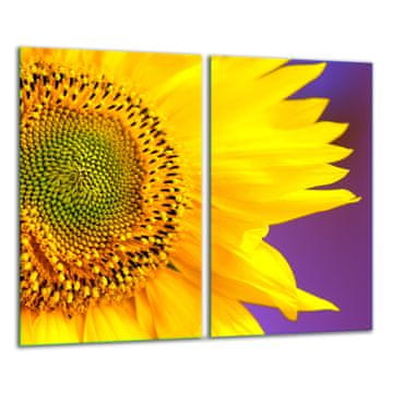 shumee Steklena rezalna deska 2x 30x52 cvet