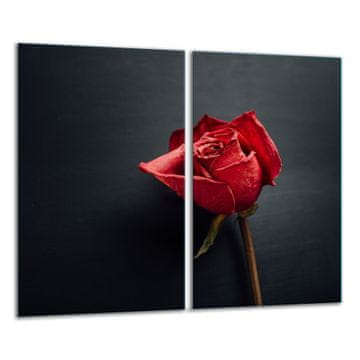 shumee STEKLENA DESKA ZA REZANJE 2x 30x52 ROSE