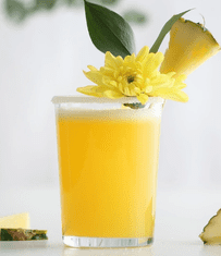 shumee Komplet 6 kozarcev za viski Liberty LAV 280 ml z nizko temperaturo